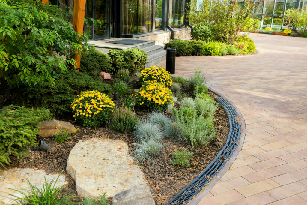 Bushes and flowers in landscape design