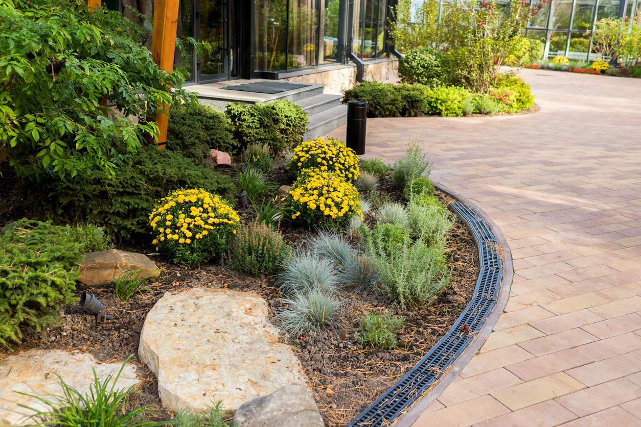 Bushes and flowers in landscape design